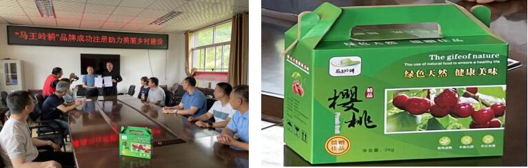 291624931950758318.jpeg 291624931950758318.jpeg