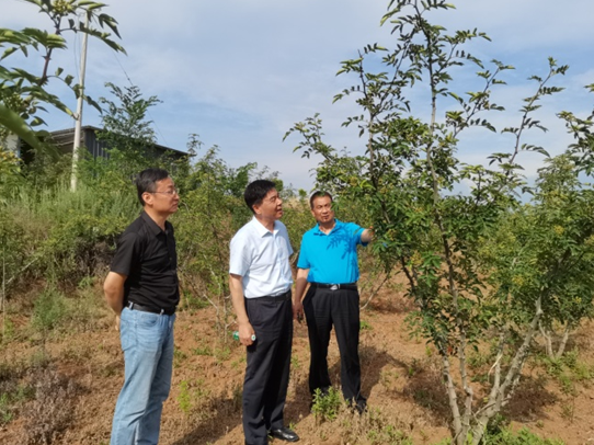 鄉村振興工作動態（第135期）