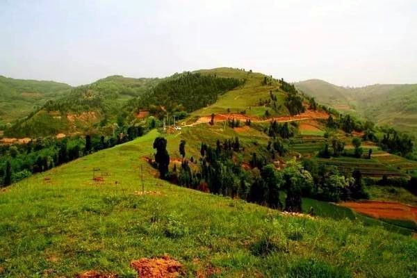 鄉村振興工作動態 （第141期）