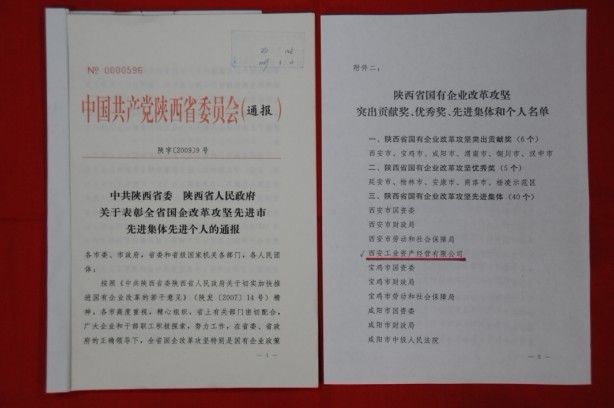 2009年2月，被陜西省委、省政府授予陜西省國有企業改革攻堅先進集體