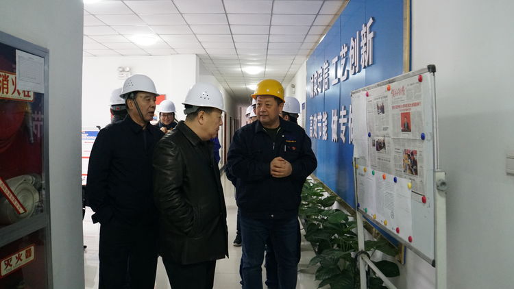 集團領導金輝帶隊赴標準電梯、標準熱處理進行工作調研