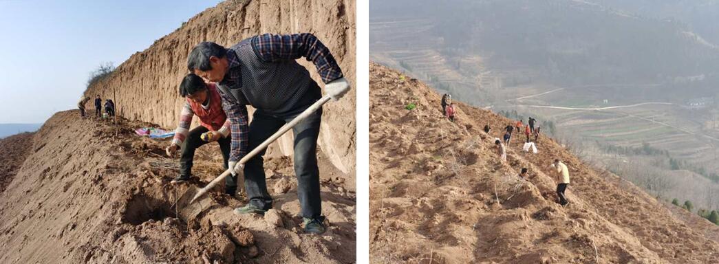 1586252127998896.jpg 1586252127998896.jpg